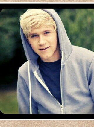 i'm one of niall horans biggest fans!!!! please follow me and i follow back :*