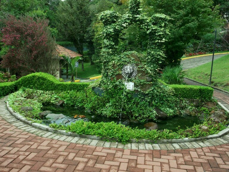 janecalesso's profile picture. 