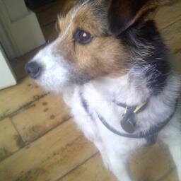 hjbtedstone Profile Picture