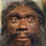 Hominid