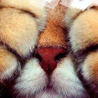 Я знаю... (@nash_opyt) 's Twitter Profile