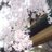 cherry_sw_5