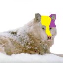 beth doyle adams - @bethdoyleadams - Twitter