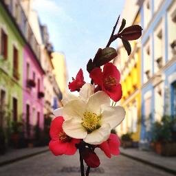 myHeartEnMySoul's profile picture. 