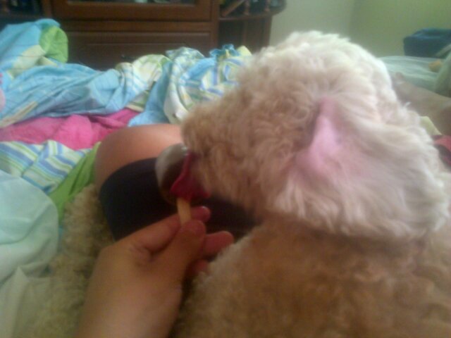 CardenasM10's profile picture. 