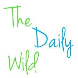 Nature, Wildlife,  Art, Food and Organic Lifestyle