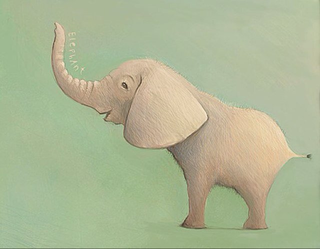 sasalyj's profile picture. 引領我，穿越不可知的黑暗。