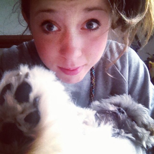 lisa_andreani's profile picture. 