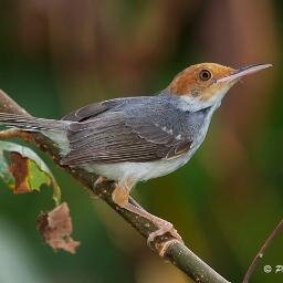 dd_dilip's profile picture. 