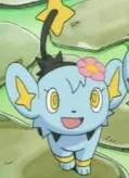 *a wild shinx appeared* I'm shinx. I'm a girl and mega cute. #wild.
