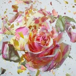 unityfaithdisci's profile picture. 