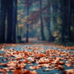 vs094900's profile picture. 