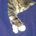 Margo Watson - @margswat1 - Twitter