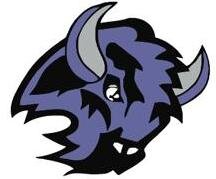 Buffalo Bison Hockey