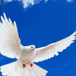 henek kürdi henek têrki henek rasti henek lakêrti ez dêxazêm azadi idi bese nerêje xuna bêratê