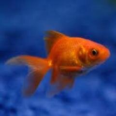 wanda ;)