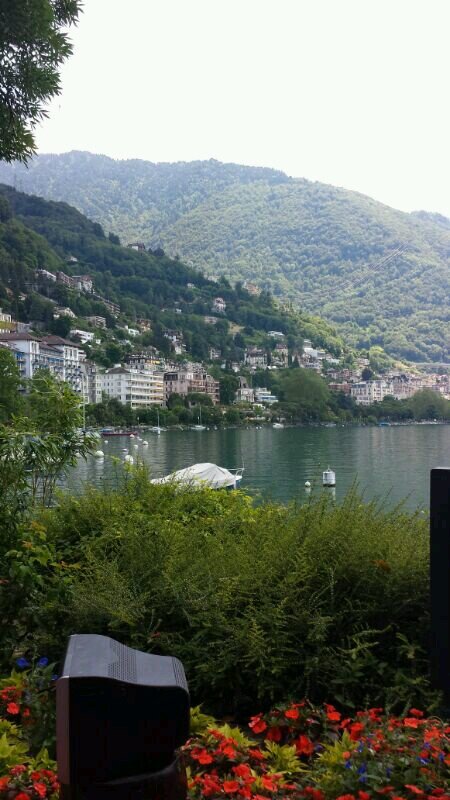 sosomm1984's profile picture. 