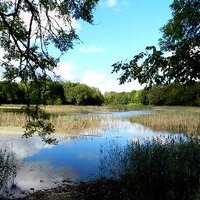 Irish Cultural (@irishcultural) 's Twitter Profile