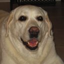 Gavin-Gamble Katheri - @KKgavin - Twitter