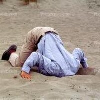 Boden im Bild (@videosondierung) Twitter profile photo