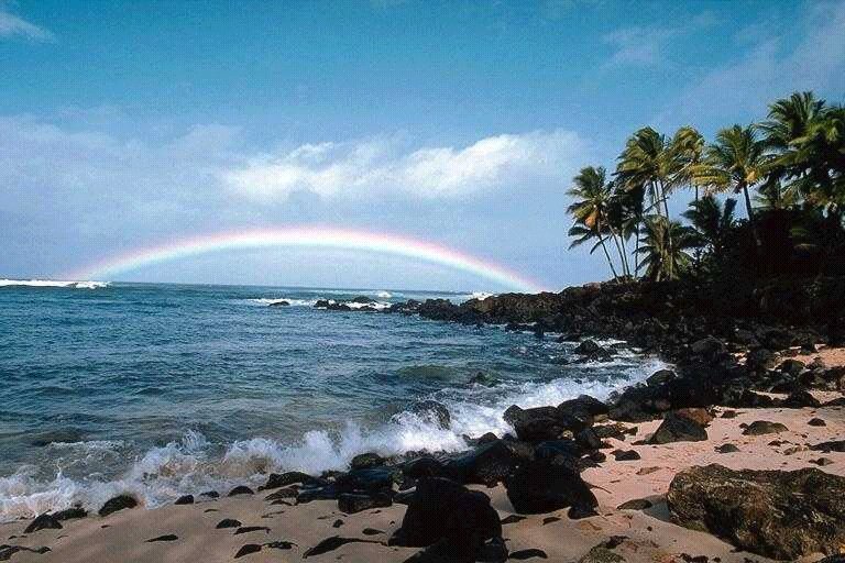 neha_rajpurohit's profile picture. 