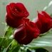 نوفه (@sadeem2008) Twitter profile photo