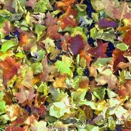 FMRmichigan's profile picture. Michigan branch of Feed My Reads family-keeping up to date with authors and events in and around our great state.  tweets by @RachelAHill1