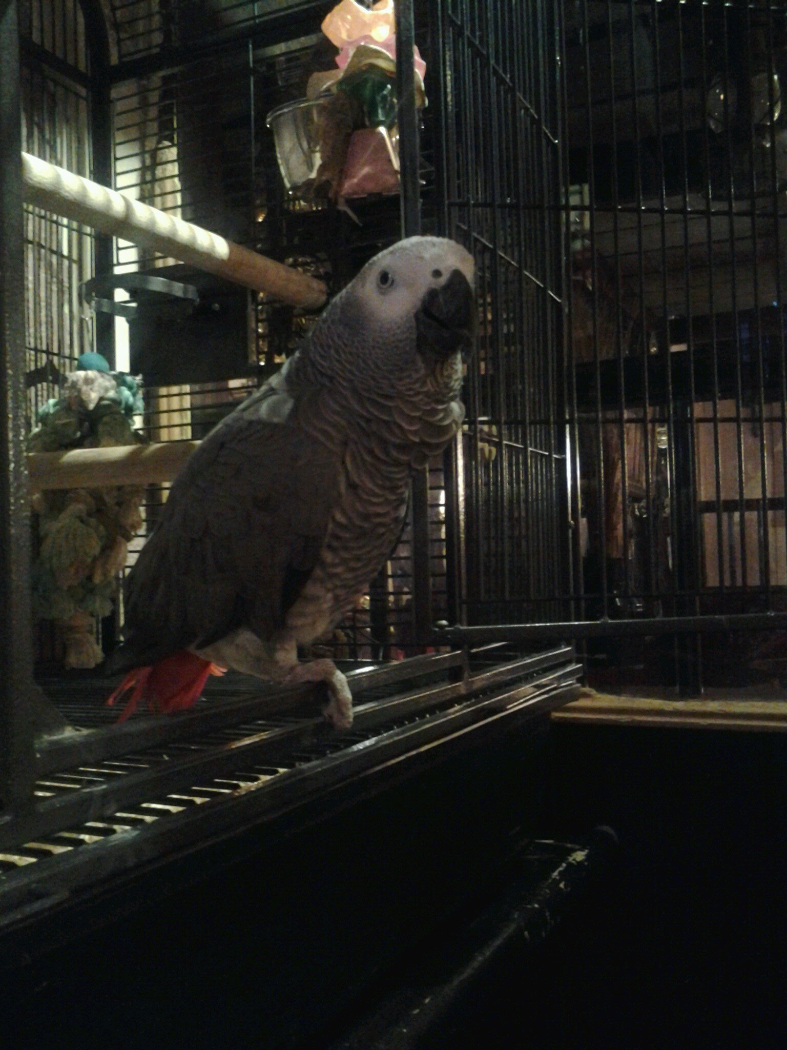 thewheatsheafpp's profile picture. 