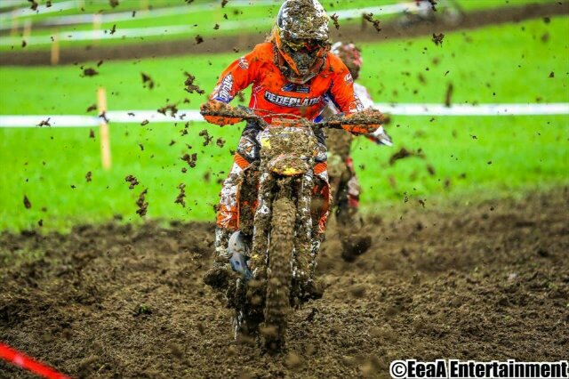 Love MX #36