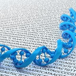 Computational Epigenomics Lab
Evolutionary Genomics and Bioinformatics Group.