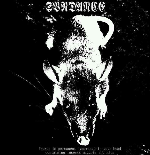hardcore punk // powerviolence