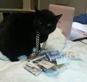 Gettin money fuckin bitches #pussymoneyweed