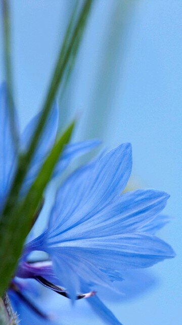 BCroow's profile picture. 