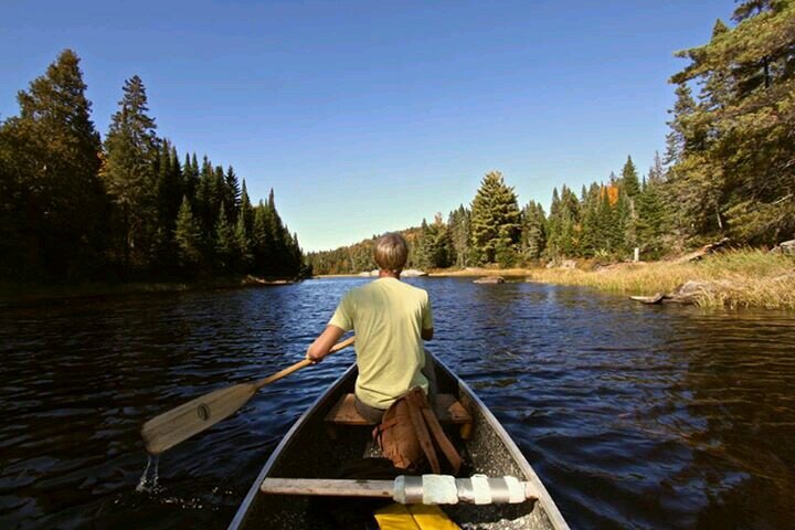 _gordoalexander's profile picture. 