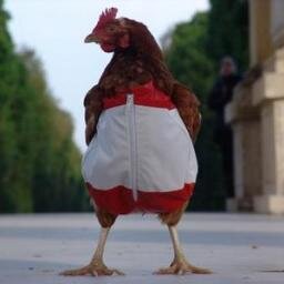 Las novatadas están prohibidas, las fiestas de bienvenida para pollos son legales. Twitter Oficial 2013/2014.