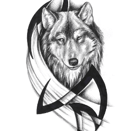 lobo solitario forum embroidery lobo solitario forum embroidery