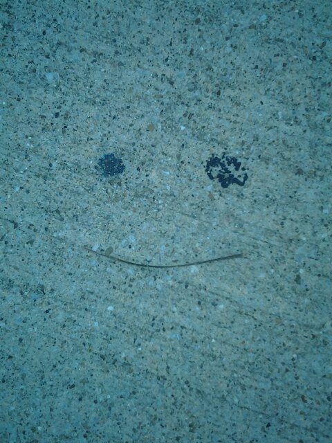 GiantProtractor's profile picture. 