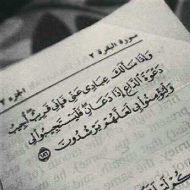 سُبل الحب كثيره وأبسطها الدعاء ،ولأني إحببتك جعلت هذا الحساب صدقة جاريه لك في حياتك وبعد موتك ،وادعو لكِ كُل مالامس جبيني الأرض @amooool99
