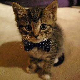 VivianCruzan's profile picture. 