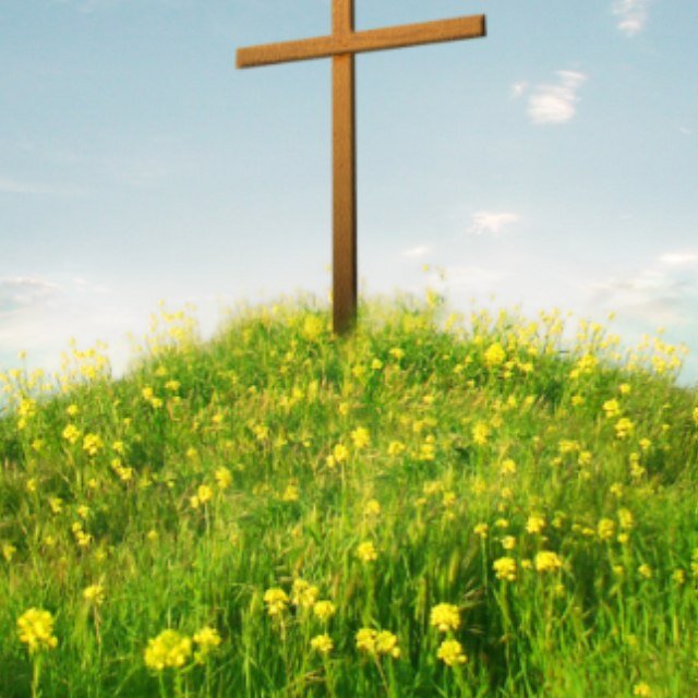 Trust in Him and He will raise you higher than the stars