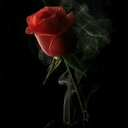 اسف على كل شيء (@196486Nbeel) Twitter