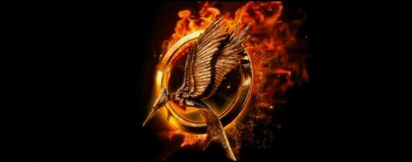 hi tributes I am a huge fan of the HungerGames May the odds BE EVER IN UR FAVOR.( Nov.22 )