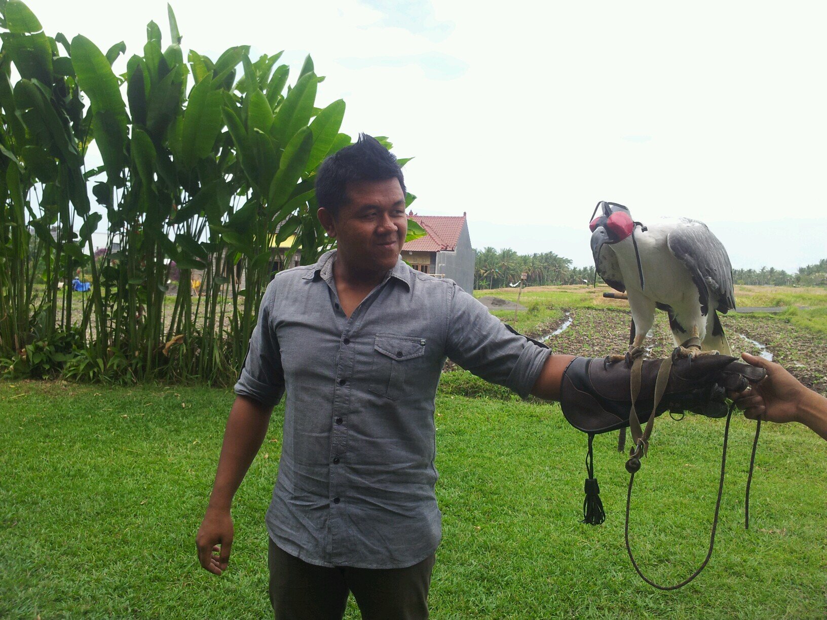Bali Tour, Travel, Transport, Adventure, and Leisure