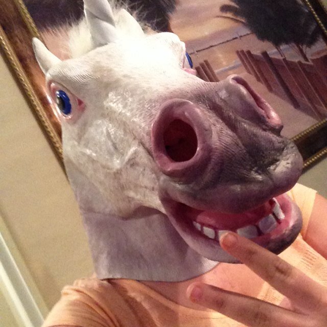 Just a unicorn trying to survive in your world  

just follow me on insta @unicorngirl_official