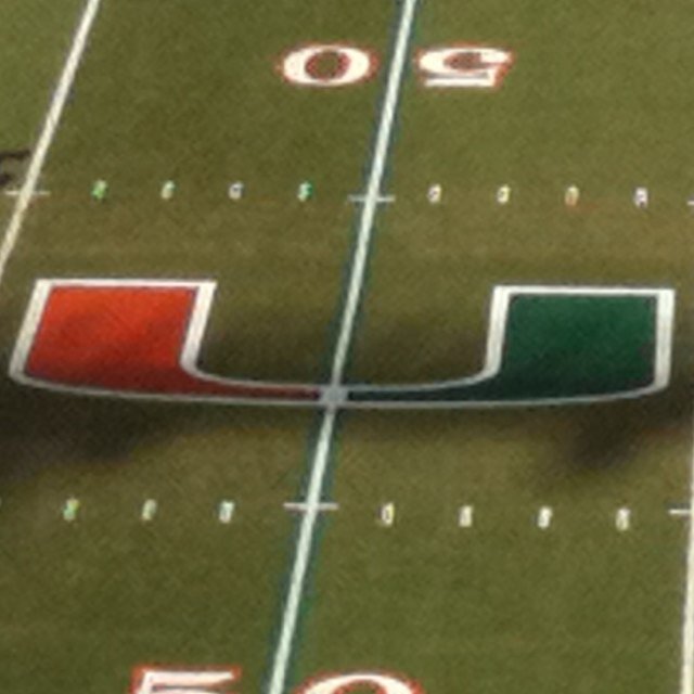 mnewhouse33's profile picture. Maura's dad, CPA, Canes fan