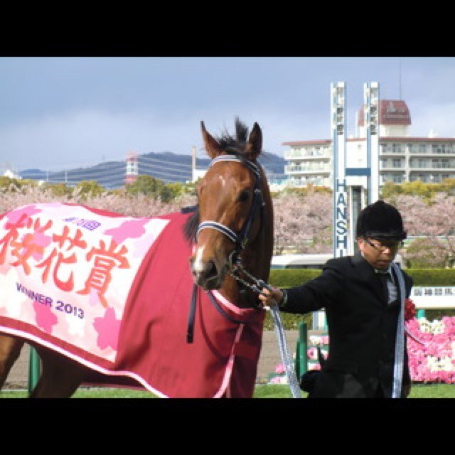 音楽、野球、深夜ラジオ
