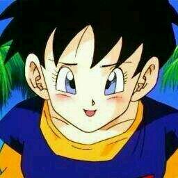 Soy Videl, hija de Mr.satan,soy una peleadora que lucha por la justicia, mi novio es gohan y tengo una hija llamada Pan
