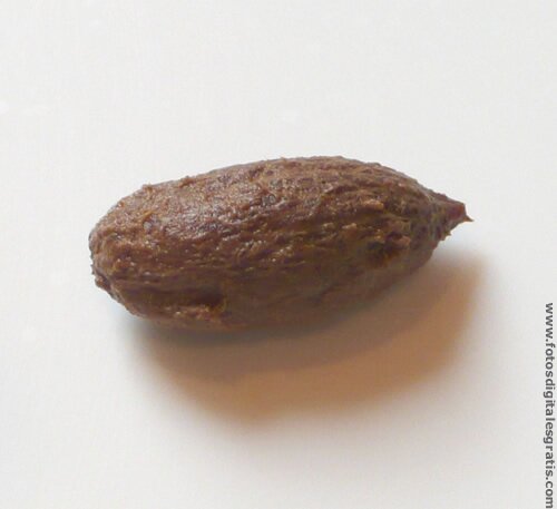 Me llamo caroso: sirvo para que los pelotudos tarden 2 horas para comer una aceituna. Seguime y dejo de existir en las aceitunas