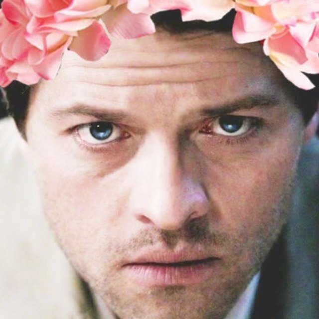 hey this is my spn acc and i post my fave moments of the show btw i ship destiel but misha collins is my sex slave ya dig