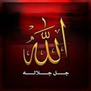 قَالَ رَسُولُ اللَّهِ صَلَّى اللَّهُ عَلَيْهِ وَسَلَّمَ : ( بَدَأَ الإِسْلامُ غَرِيبًا ، وَسَيَعُودُ كَمَا بَدَأَ غَرِيبًا ، فَطُوبَى لِلْغُرَبَاءِ )